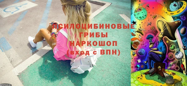 амф Володарск