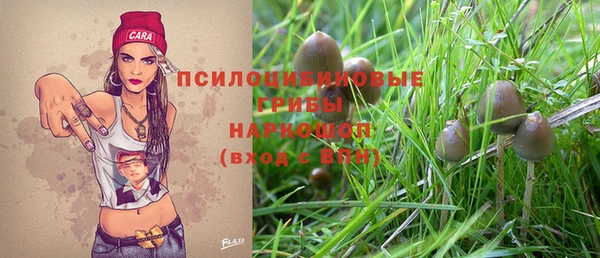 амф Володарск