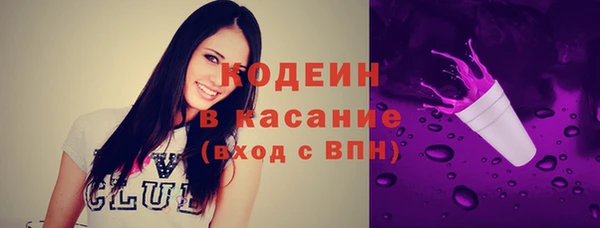 прущие грибы Каменка