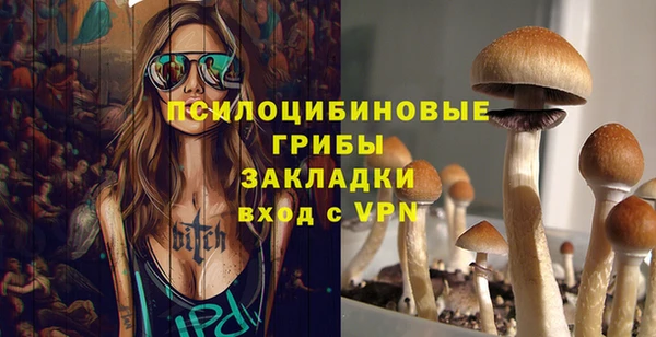 2c-b Вяземский