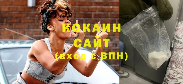 сатива Болхов