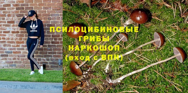 2c-b Вяземский