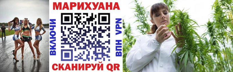 Бошки Шишки THC 21%  darknet как зайти  Жуковка  как найти наркотики 